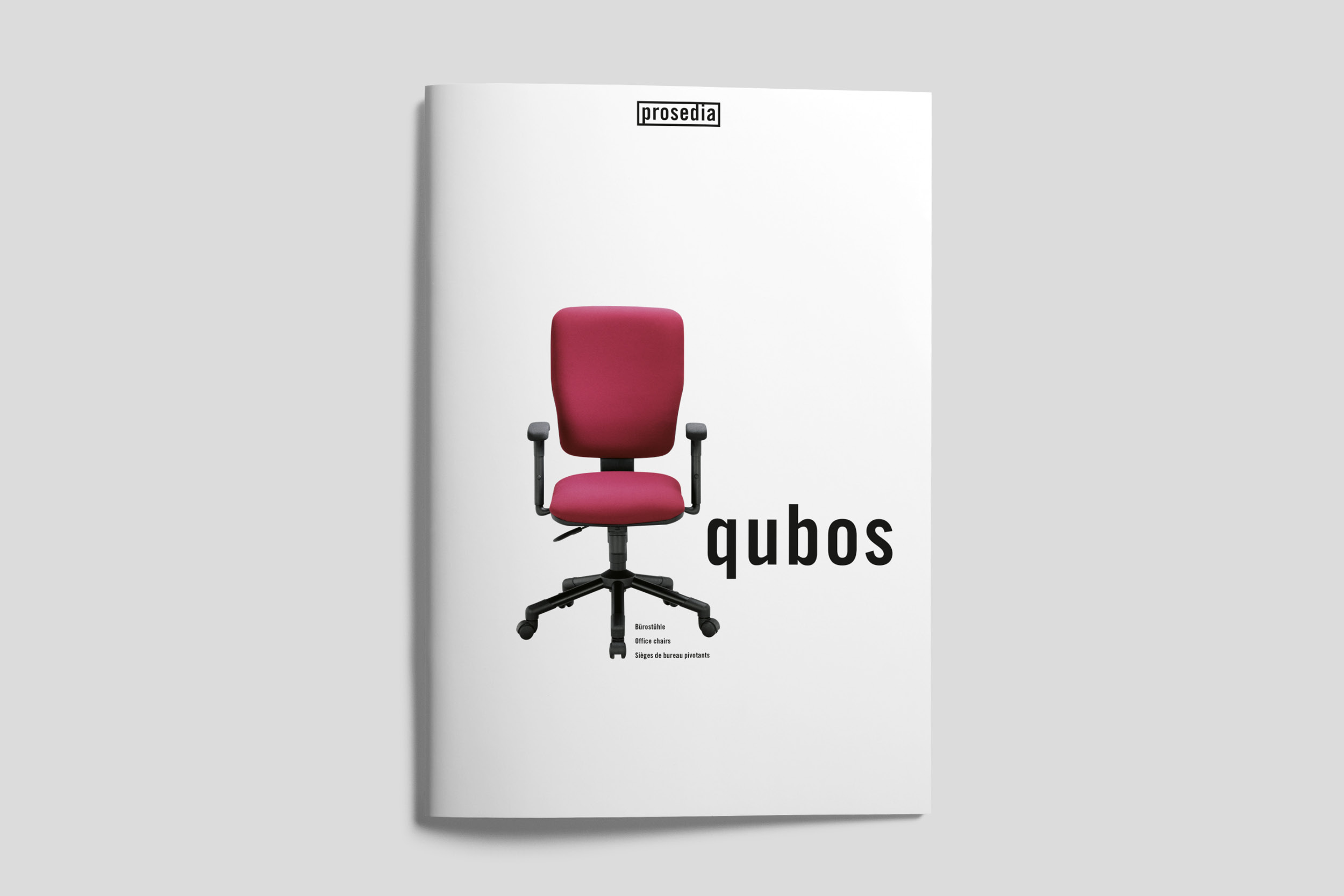 Project_DIVERSE_PROSEDIA_FULL1_A