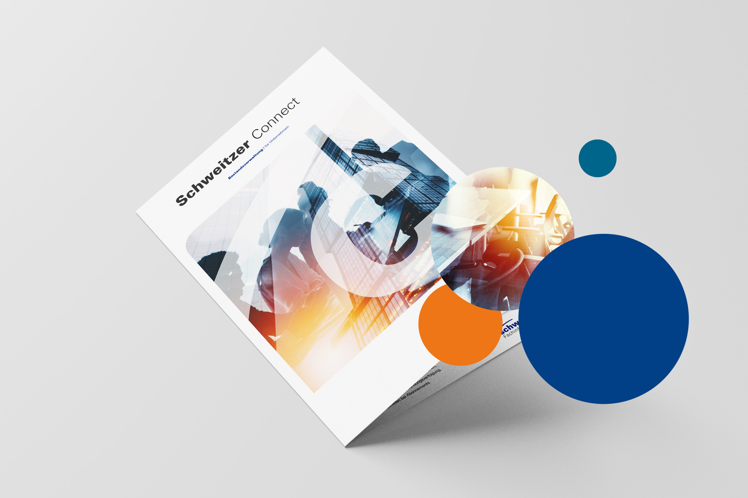 Project_SCHWEITZER_FULL4_C